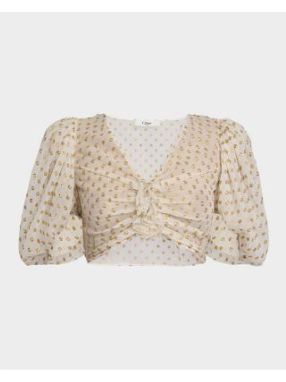 NWT Chloe Cream Sheer Crop Top with Gold Dot Print - Gorgeous Boho Chic!